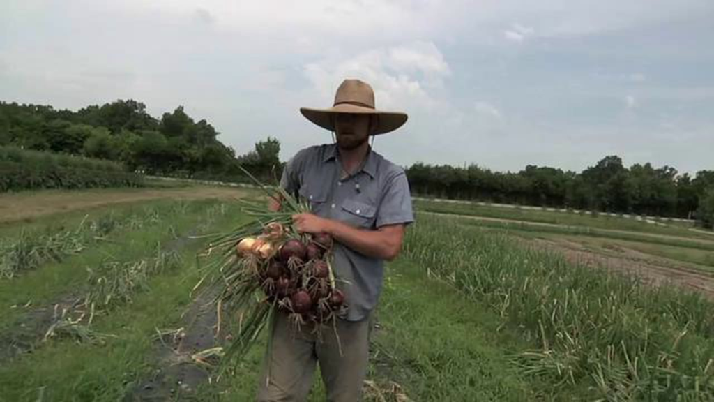 farming business