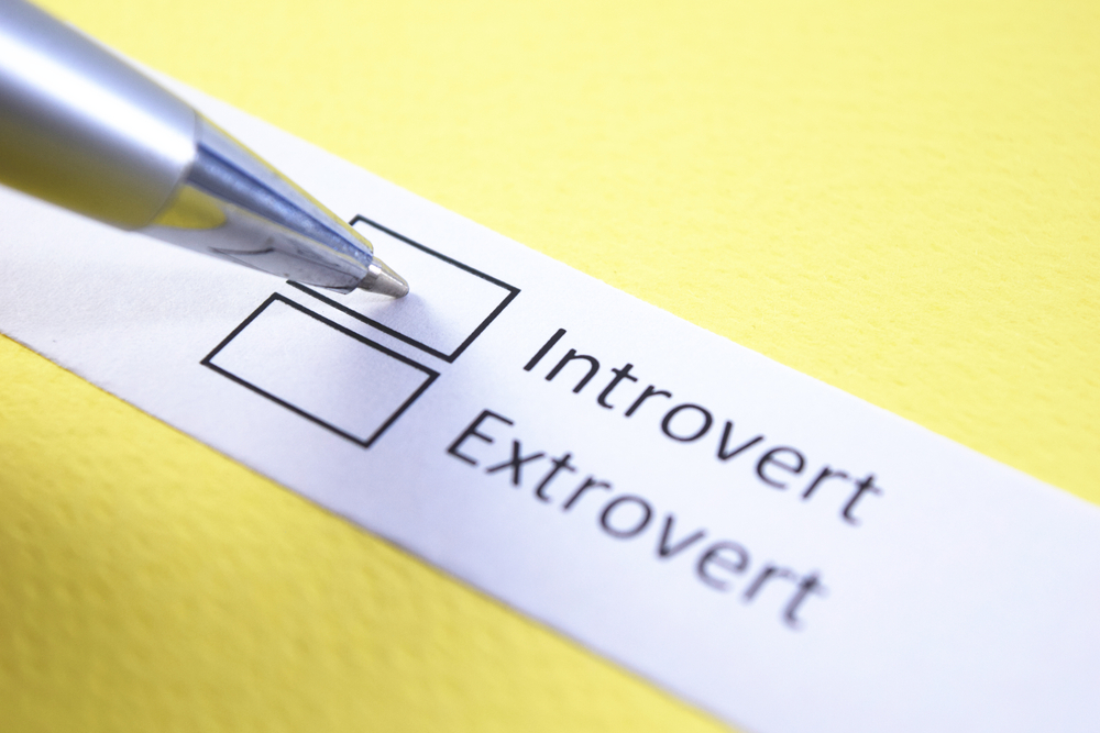 Career Opportunities for Introverts That Prefer Working Solo