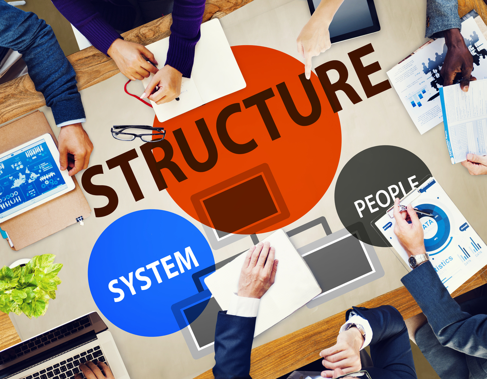 understand business structure