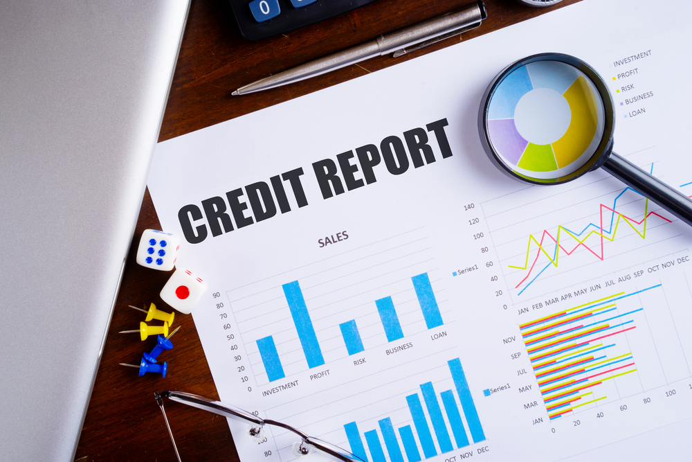 credit report guide