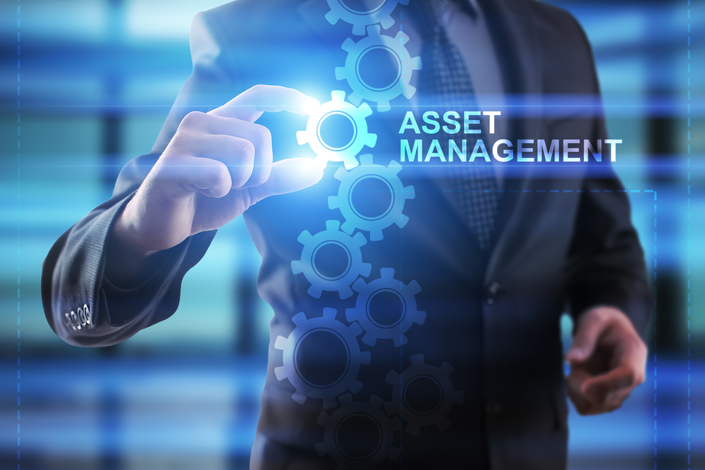 asset management professionals