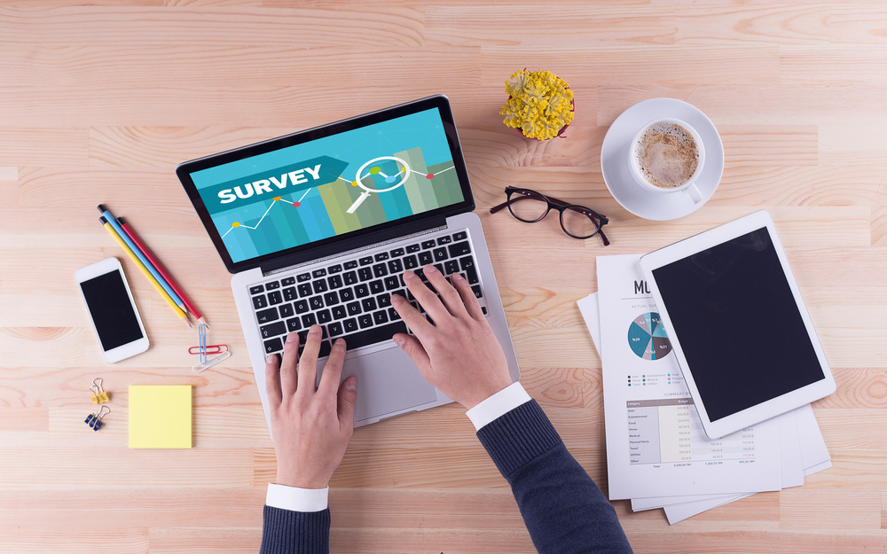 the importance of surveys in business